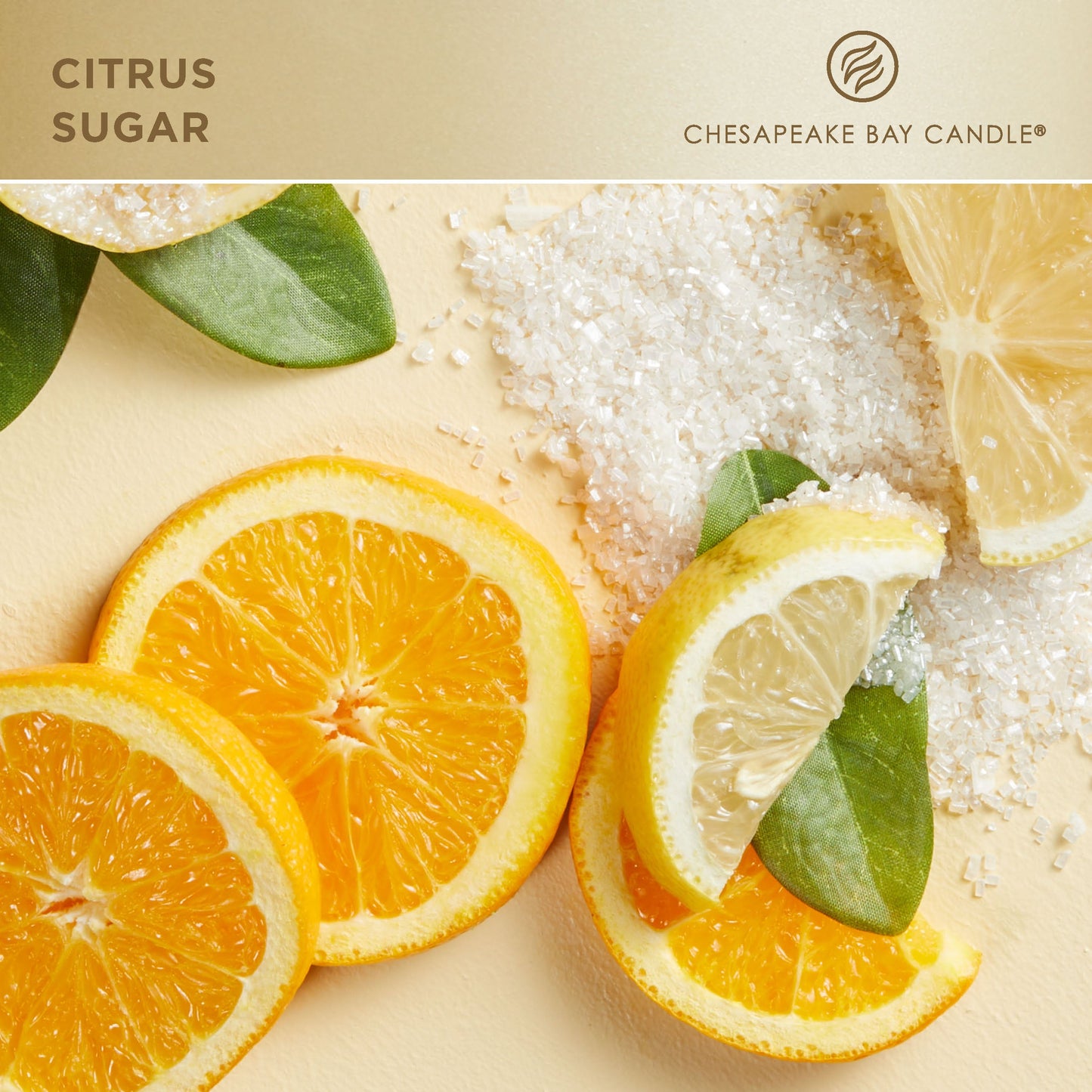 chesapeake bay candle citrus sugar fragrance in 2D