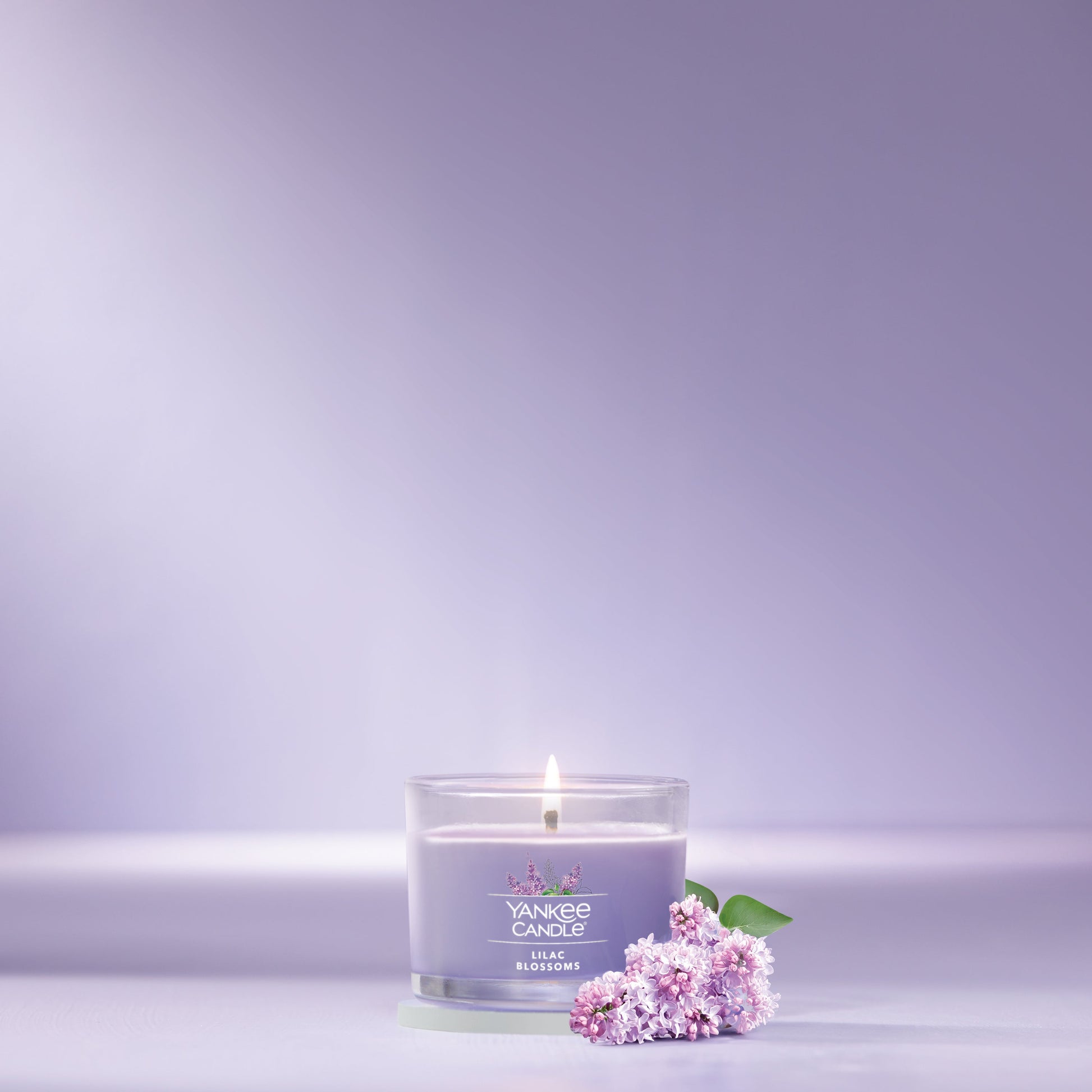 Lilac Blossoms
