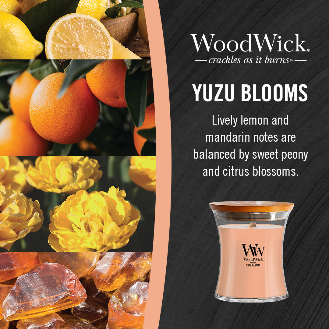 Yuzu Blooms