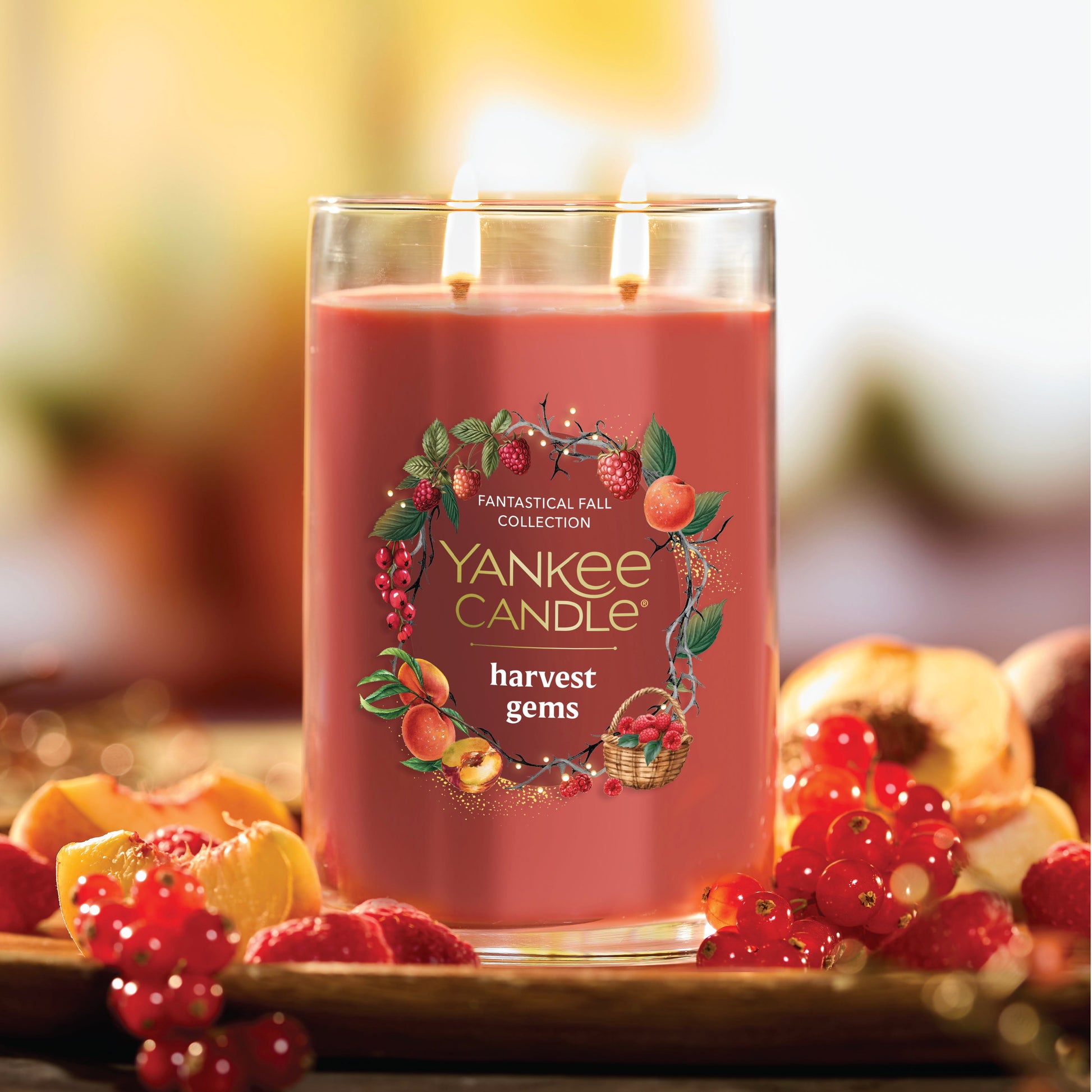 https://yankeecandle.imgix.net/9477a74f-b86e-3811-9a88-241ba09b7612/9477a74f-b86e-3811-9a88-241ba09b7612.jpg