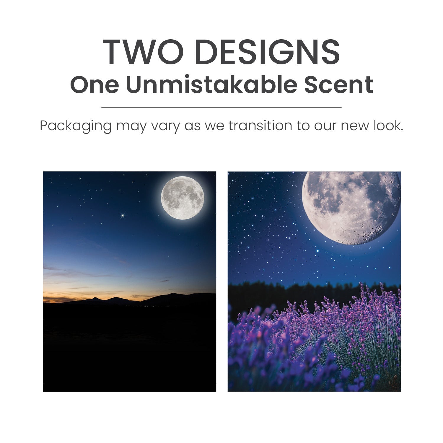 MidSummer's Night® Vent Clip Fragrance Kit